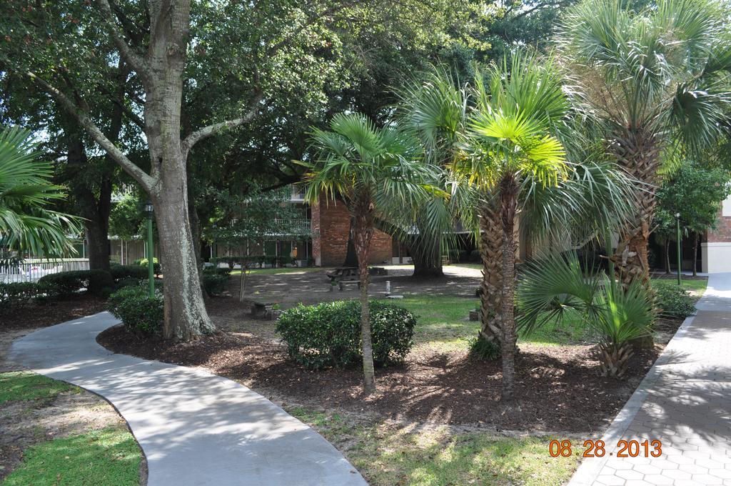 Days Inn By Wyndham Mt Pleasant-Charleston-Patriots Point Exterior photo